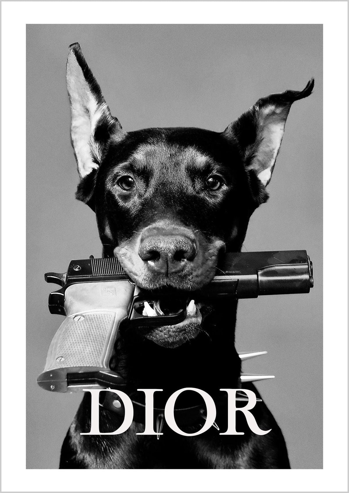 Dior rebel dog A4 poster | B&W edition